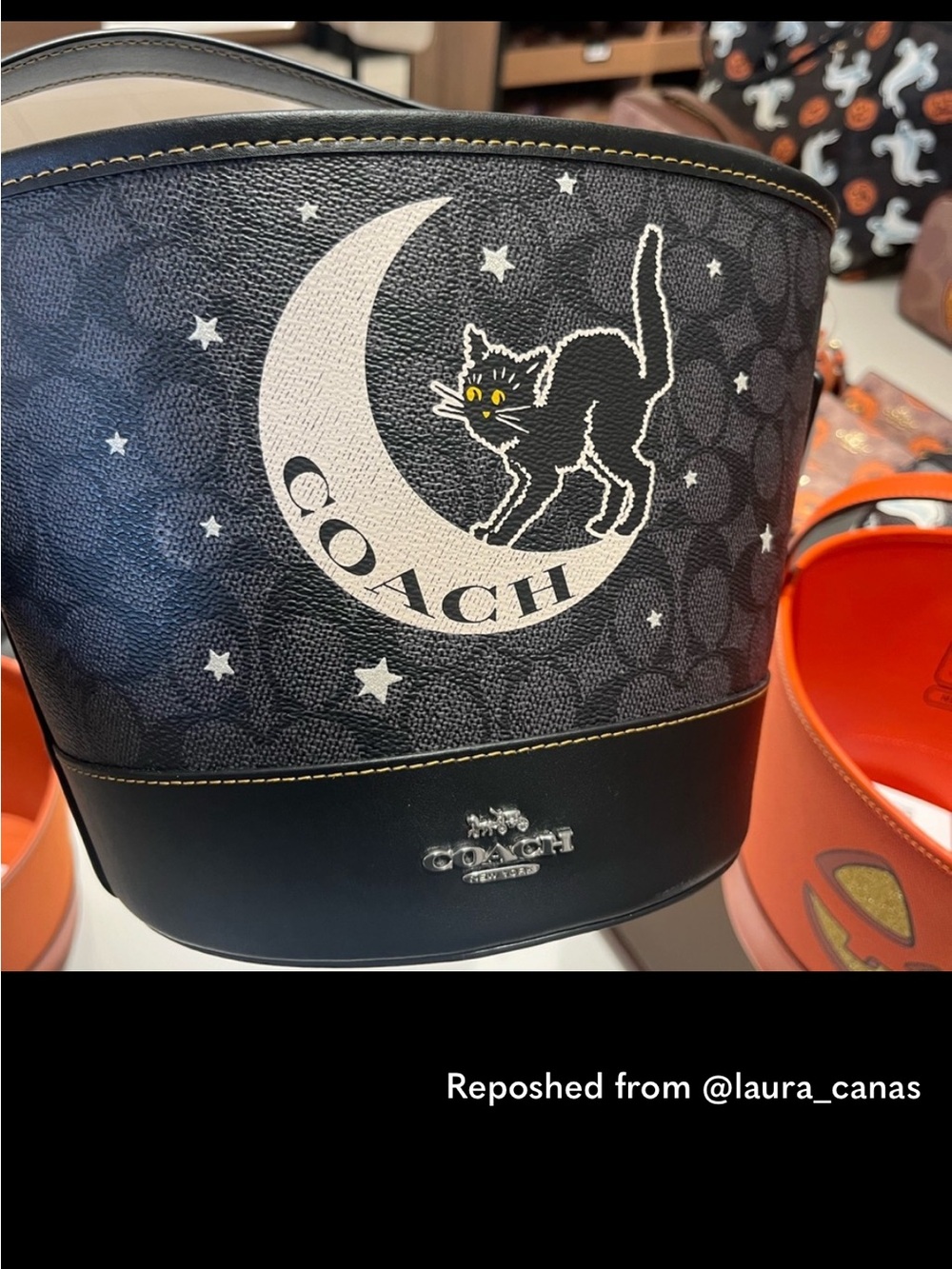 Coach Black Moon & Cat Signature Bucket Bag with Cream Moon